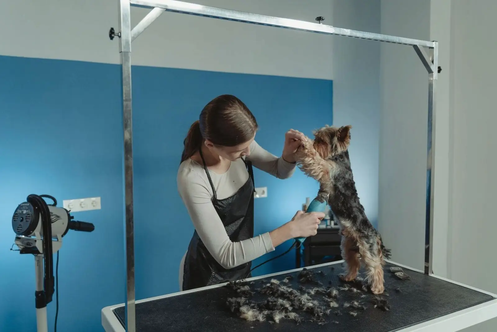 About Ivoranessalique Grooming Salon